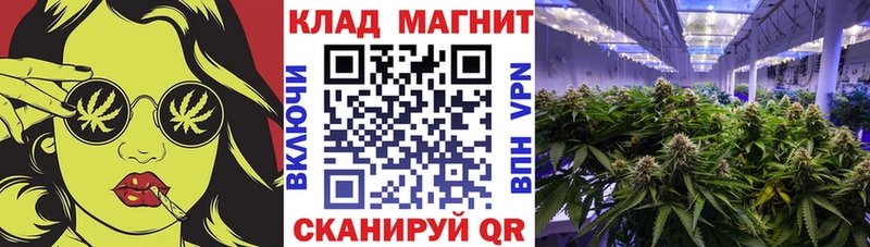 Где можно купить наркотики Мурино Галлюциногенные грибы  Канабис  Мефедрон  Амфетамин  Гашиш  APVP  Кокаин 