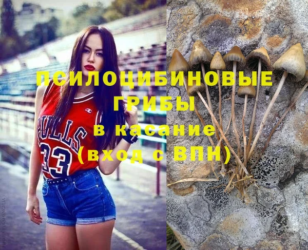 Альфа ПВП Арсеньев