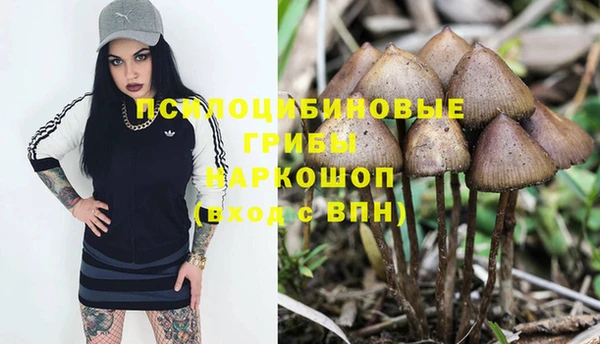прущая мука Аркадак
