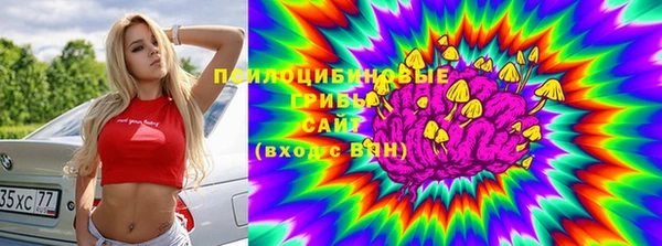 Альфа ПВП Арсеньев