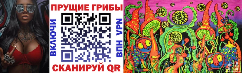 продажа наркотиков  Мурино  KRAKEN рабочий сайт  Галлюциногенные грибы Magic Shrooms 